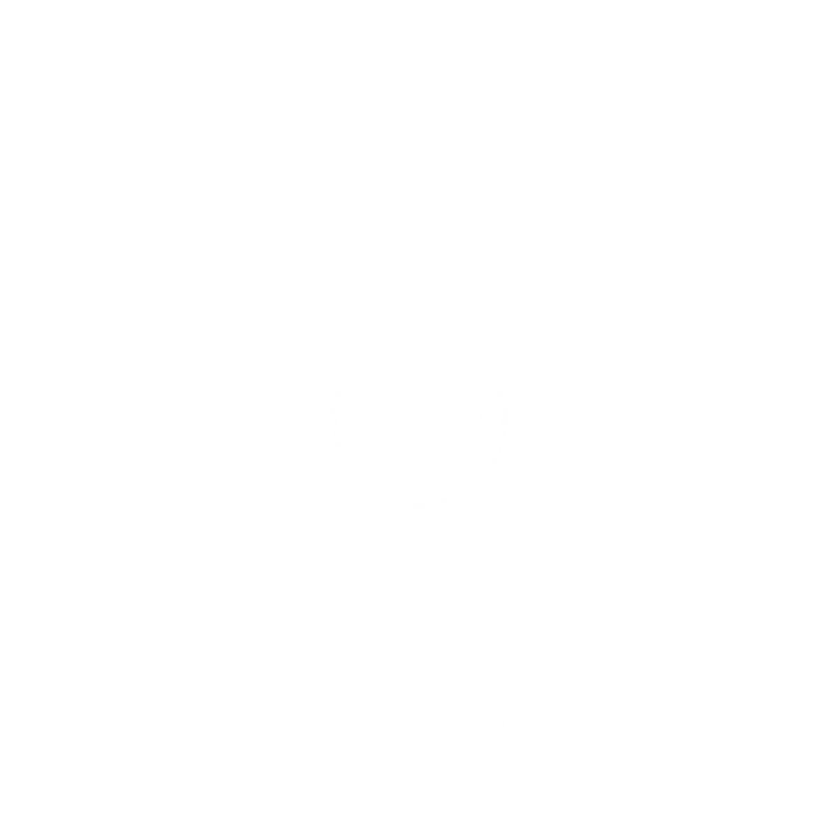 Black transparent shadow